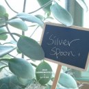 실버스푼 (silverspoon)