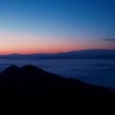 Glory Star 이미지