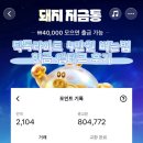 틱톡라이트 돈버는 방법 돼지저금통 4만원 받기 현금출금 후기