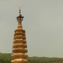 전나무목장 이미지