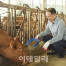 세종사료 이미지