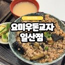 일산교자 | 일산 웨돔맛집 요미우돈교자 솔직 후기!