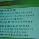 레이호 이미지