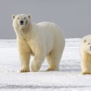 보령환경 이미지