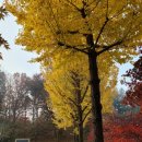 고양누리길 14코스 바람누리길 | [고양누리길] 5코스 행주산성누리길