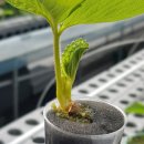 화천농장 이미지