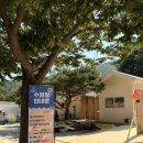 일랑일랑 스테이 이미지