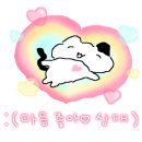 냥토피아 이미지