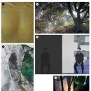 NR-30[달구벌대로]-하-32 이미지