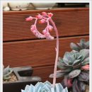 파랑새농장 이미지