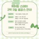 스테이 하시 Daum카페