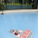 몽글몽글 애견유치원 이미지