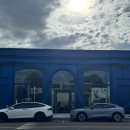 유식자동차 | 🇺🇸 LA 2편 🧳🌉🌆🏞️