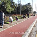 태흥3리 이미지