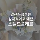 일산꽃집추천 ㅣ 감각적이고 예쁜 일산예쁜꽃집 스펠드플레르