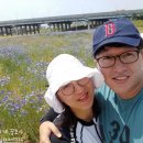 옥계(속초) 이미지