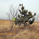 당진시노인요양원 이미지