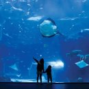 한국해양수조공사 이미지