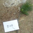 하나조경 이미지