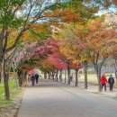 문경새재관리사무소 내 화장실 | 문경새재 깊어가는 가을, 천천히 걸을수록 더 아름다운 곳