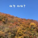 (주)천아
