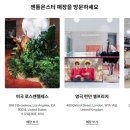 신세대안경 이미지