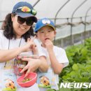 대가농원 이미지