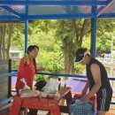 해바라기유원지 이미지