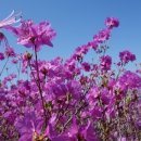 아름기술 이미지