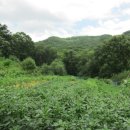 성남농장 이미지