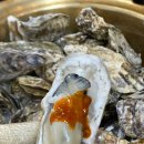 광주송정역(지하철역) | <광주송정역 맛집> 겨울만 되면 생각나는 굴찜, 끝판왕새우직판장 굴찜무한리필 후기