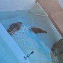 오월드 | 대전오월드 다녀온 후기 아이들과가볼만한곳 추천