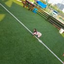 안녕 똑독아 이미지