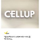 신영통마디척척의원 이미지