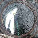 구산면716 이미지