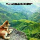 복 - 서구 대영로 37 | 복