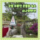 소나무 | 강릉 주문진 가성비 숙소 소나무펜션 온돌룸 아이랑 방문후기