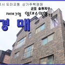 송정지구 Daum카페