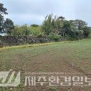 삼달1리 이미지