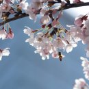 CROWN GYM(크라운 짐) 이미지