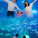 아쿠아타운 이미지