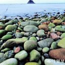 바닷가 숲속 이미지