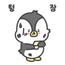 에이리 이미지