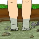 엄둔 솔밭 빌리지 이미지