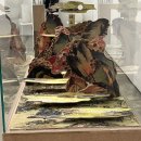 한시오분 | 1:05(한시오분)