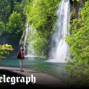 LOVELY DAY'S GROOMING 이미지