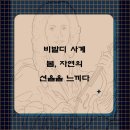 비발디사계 이미지