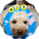 Dr.K 종합동물병원 이미지