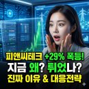 피앤씨테크(주) 네이버블로그