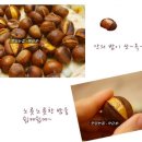 11500-10-05-05 이미지